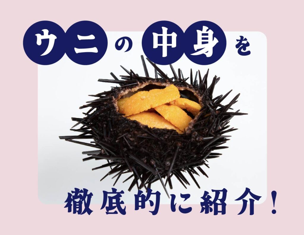 ウニ種類 – ウニ 種類 図鑑 _ ウニの種類について – EICZ