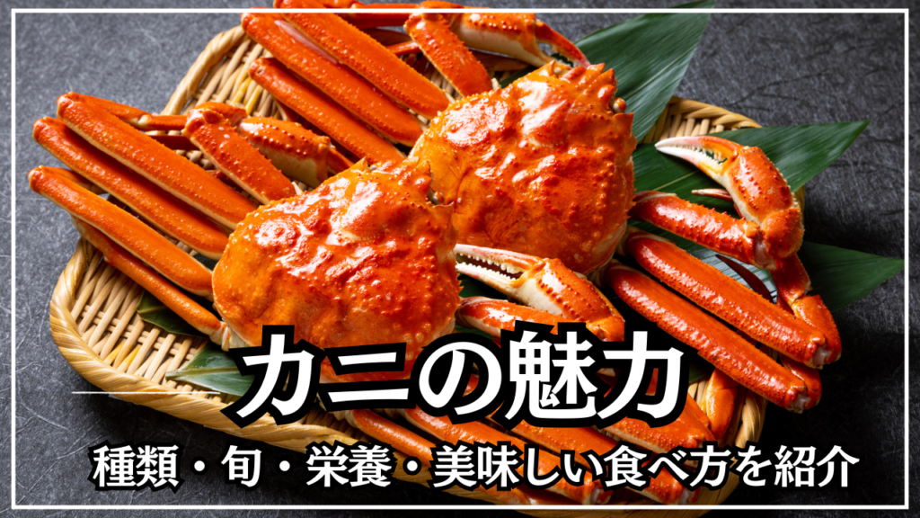 意外な姿が魅力的!ウニの知られざる不思議な生態とは? - 北海道食材専門㋚元八商店 ブログ|北海道食材専門㋚元八商店